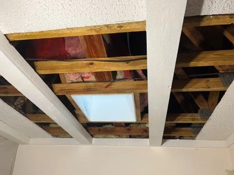 Mold+Removal+4.7+7-1920w