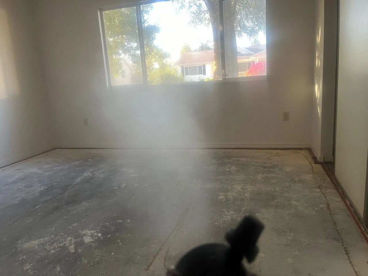 Ozone+Blog+carpet+removed-1920w