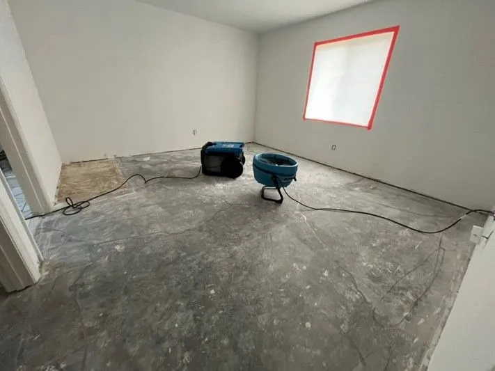 PUDDLES+Bellview+blog+pic+3-1920w