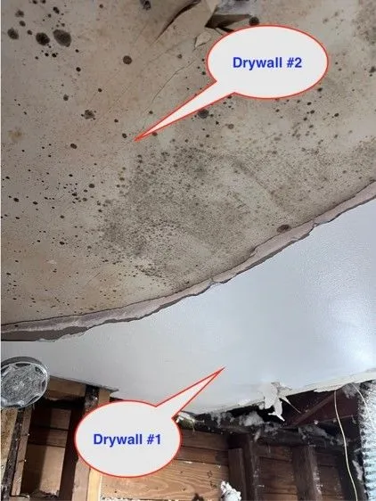 Picture1-64f040a6-1920w