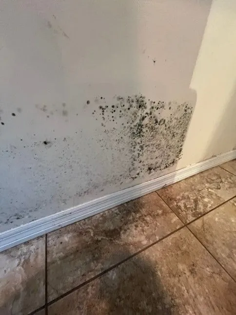 Picture3-0b2a87f5-1920w