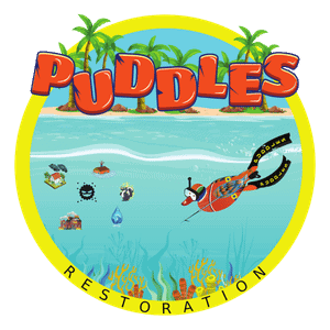 Puddles Restoration company logo