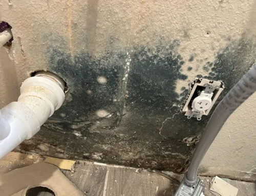 Does Homeowner&rsquo;s Insurance Cover Water Damage Odor Removal?