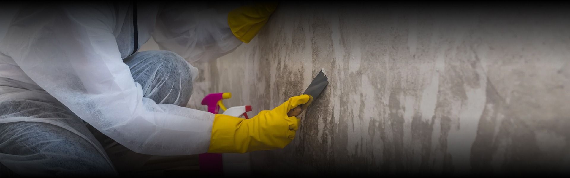 Mold Removal or Remediation