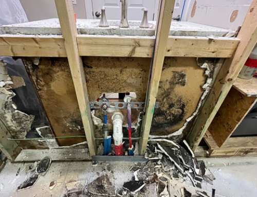 Residential Mold Remediation Company in Gainesville, FL