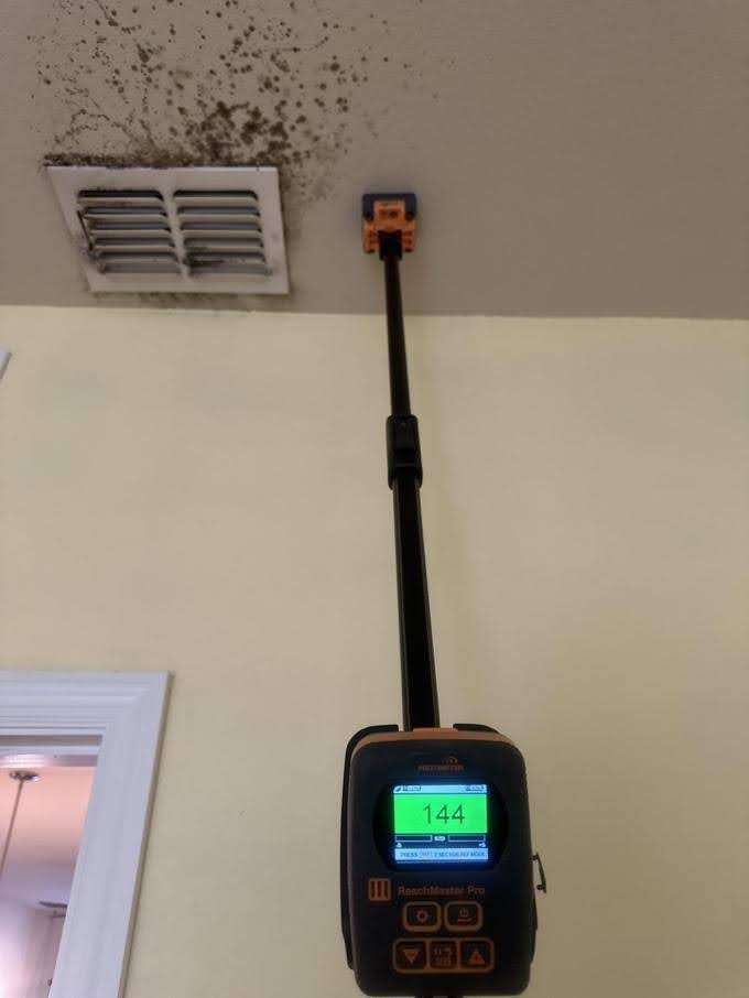 moisture meter used to assess moisture level