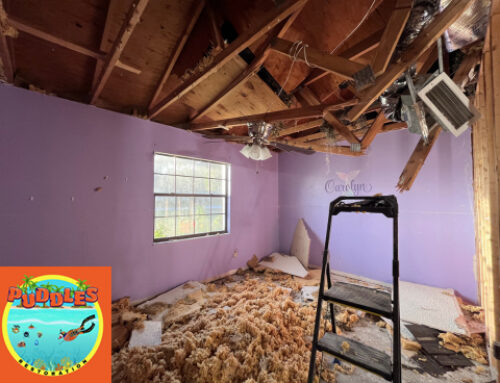 What Homeowners Need to Know About Roof Leaks
