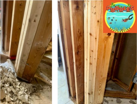 Before and after mold remediation on wood framing by PUDDLES Restoration — wire-brushed substrate restored to like-new condition, Volusia County, FL